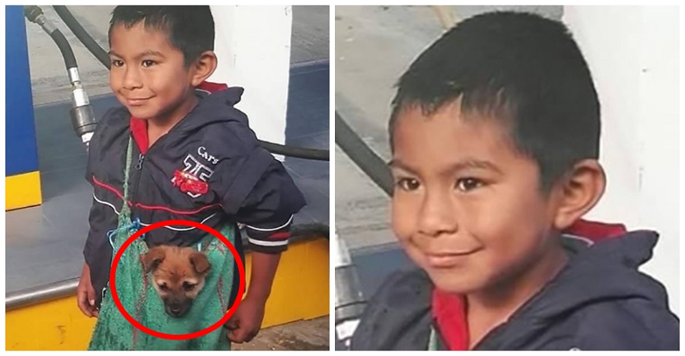 Lleva a su perrito del modo más adorable a pesar de las adversidades, pero no deja de sonreír Lleva a su perrito del modo más adorable a pesar de las adversidades, pero no deja de sonreír