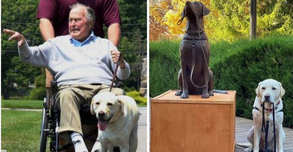 El perro que acompañó al ex presidente George Bush fue honrado con una estatua