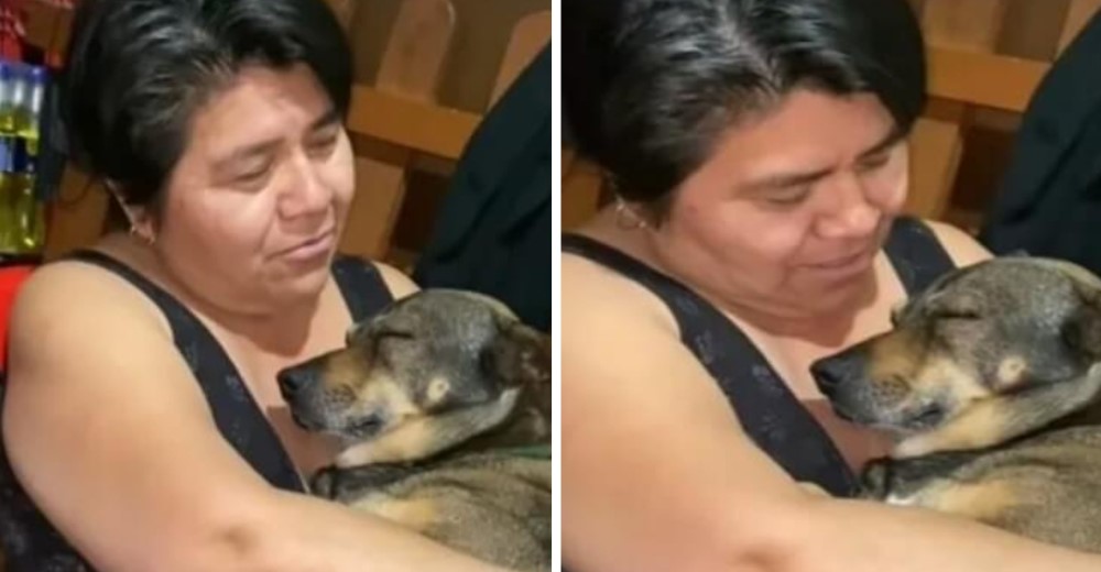 Mujer arrulla a su perrito como si fuera un bebé y le canta para dormirlo
