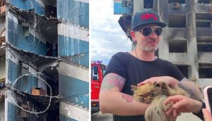 Rescatan a la gatita atrapada en el piso 7 de un edificio a punto de derrumbarse en Ucrania