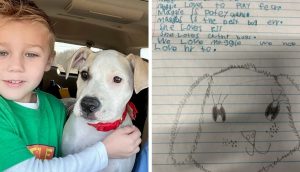 Un niño se despide de su mascota con una emotiva carta – «Es la mejor perrita que podrás tener»