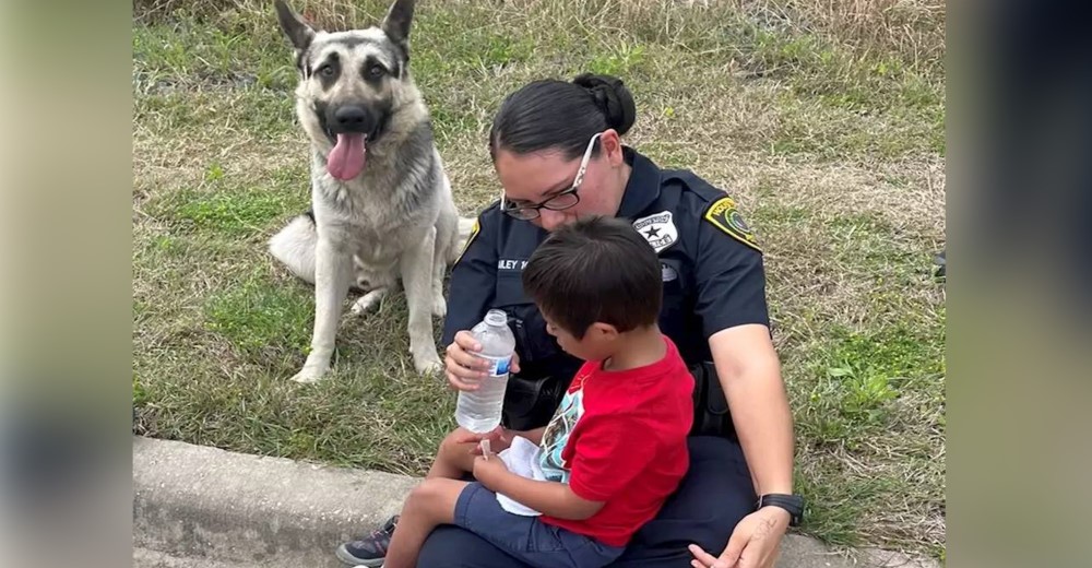 Perro mantiene a salvo a un niño de 5 años con Síndrome de Down en las vías del tren