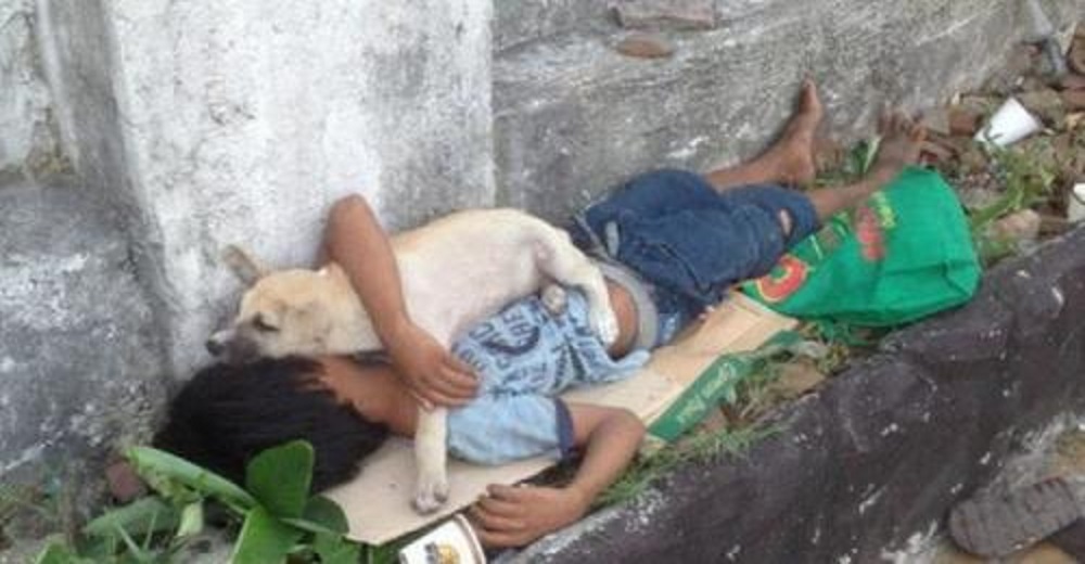 Niño de la calle adopta un perro sin hogar y se acurrucan juntos para no estar solitos