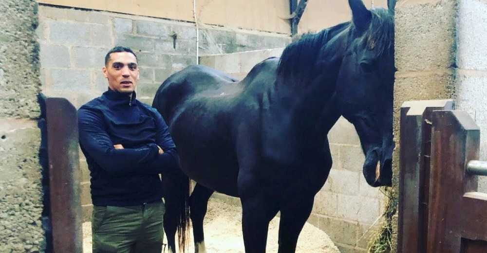 Caballo ayuda a un hombre a sanar su corazón y 15 años después él le devuelve el favor