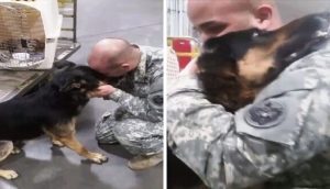 Soldado obligado a dejar a su perrito en sus últimos días se emociona al recibir una caja