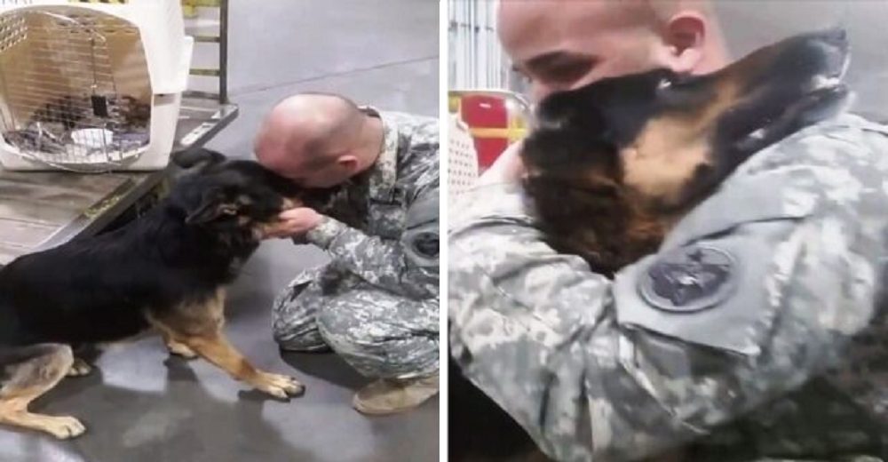 Soldado obligado a dejar a su perrito en sus últimos días se emociona al recibir una caja