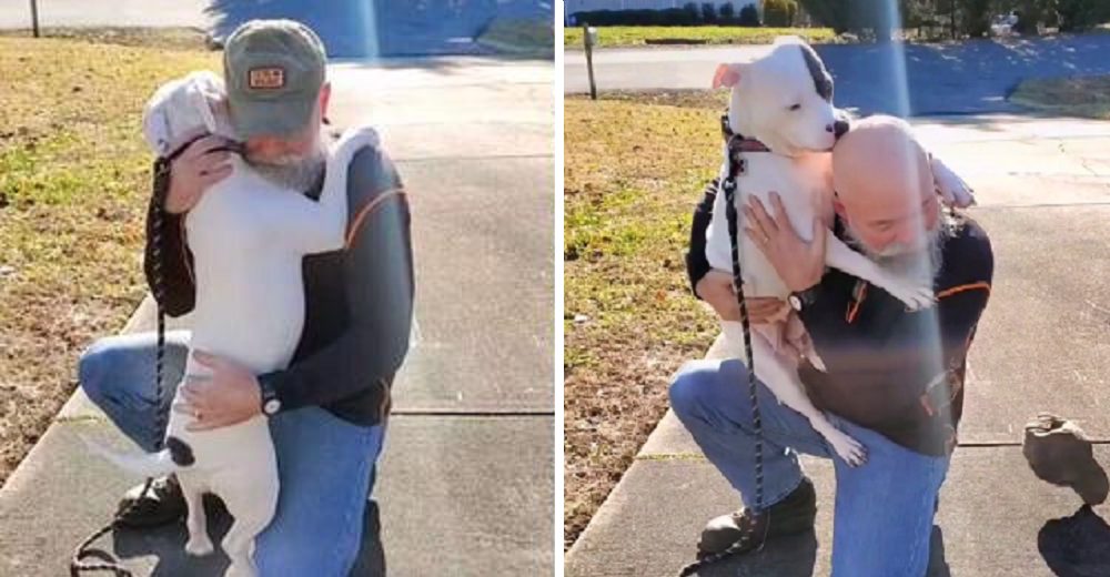 Perrita de un refugio no puede creer en el nuevo papá que le tocó y no deja de abrazarlo