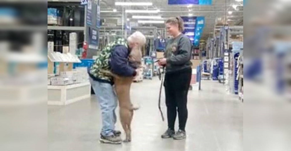 El conmovedor momento en que un perrito es adoptado para siempre en medio de una tienda