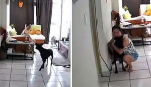 Cámara graba la reacción de una mujer para salvar a su perrito durante un fuerte terremoto