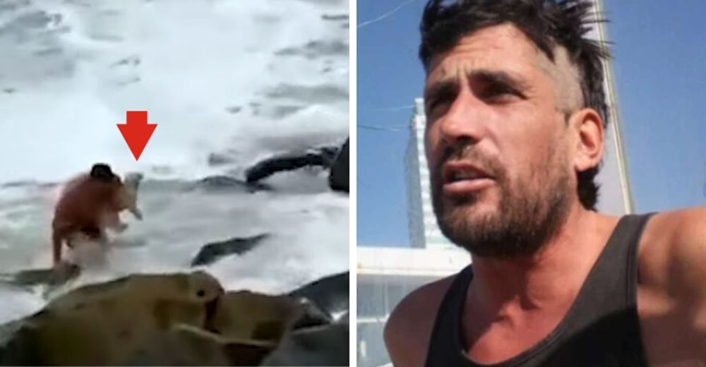 Hombre que arriesgó su vida para salvar al perrito que cayó al mar, rechaza la recompensa