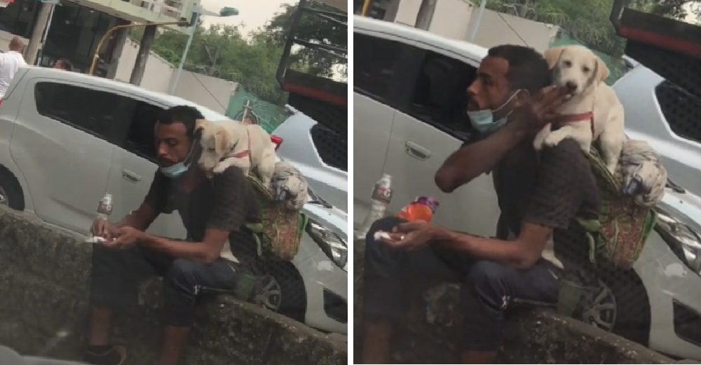 Vendedor ambulante comparte su único alimento con un perrito que cargaba en la espalda