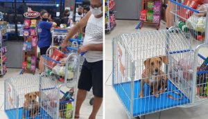Señalan al supermercado que tiene carritos para que los perritos no se despeguen de sus dueños