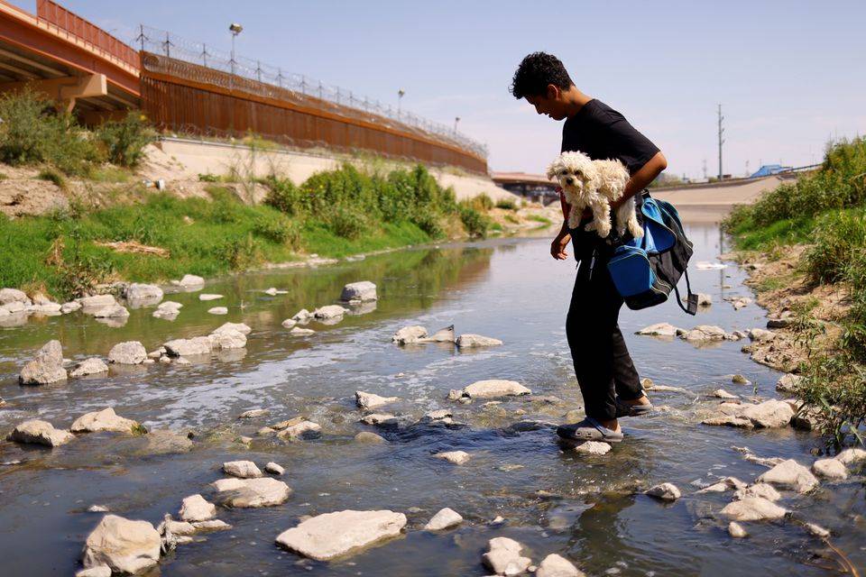 migrante