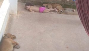 Una madre encuentra a los perros y a su bebé «inmóviles» en el suelo y pierde el aliento