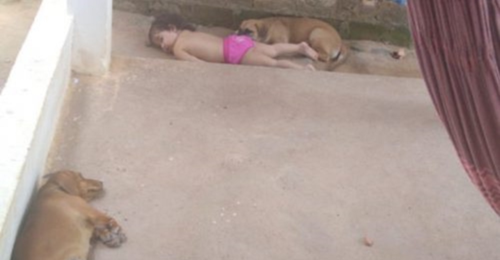 Una madre encuentra a los perros y a su bebé «inmóviles» en el suelo y pierde el aliento