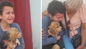 Niño llora de emoción tras lograr llevarse a casa al perrito que le dijeron ya fue adoptado