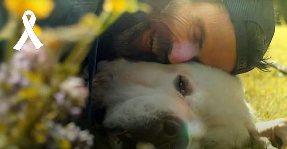 El último vídeo que Pau Donés grabó antes de morir para despedirse de su amado perro Fideos