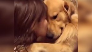 La reacción de un perrito golden retriever al ser adoptado de una perrera se hace viral