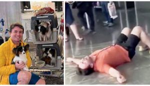 Hombre se reúne con sus perros perdidos por la aerolínea–»Todo salió bien ¿Pero si no fuera así?