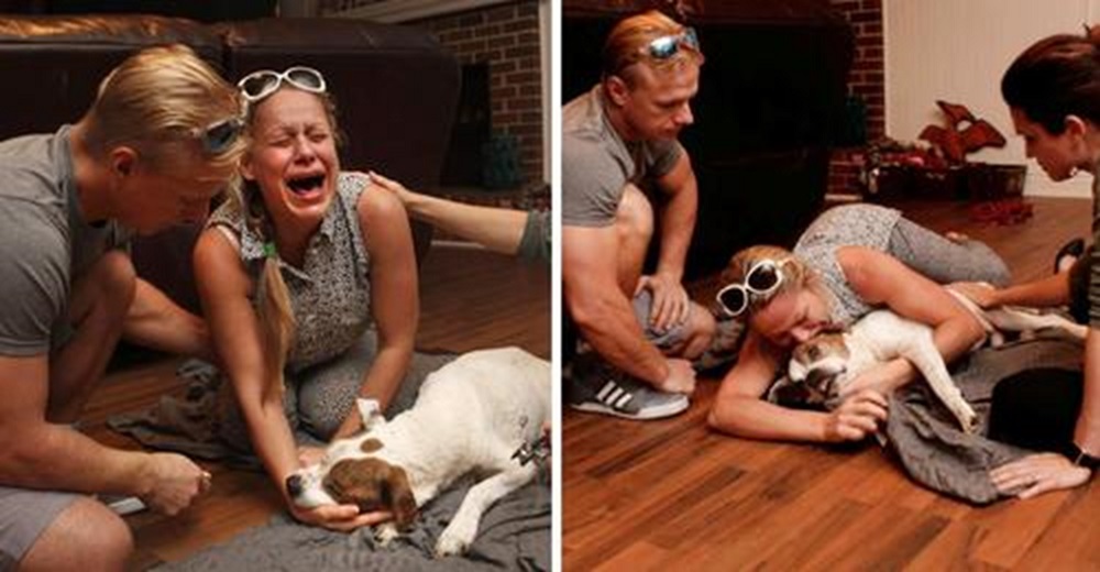 El indescriptible dolor de 7 dueños de mascotas al despedir a sus «hijos» para siempre