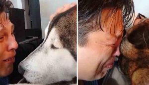 Joven despide con lágrimas a su amado perrito de 12 años: «Sé que también me amaste»