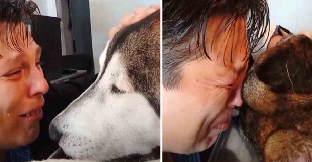 Joven despide con lágrimas a su amado perrito de 12 años: «Sé que también me amaste»